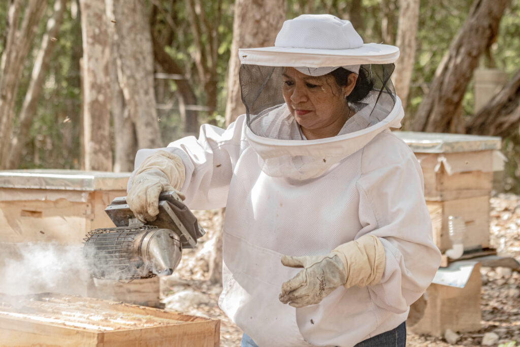 keken-proyecto.apicultores-yucatan